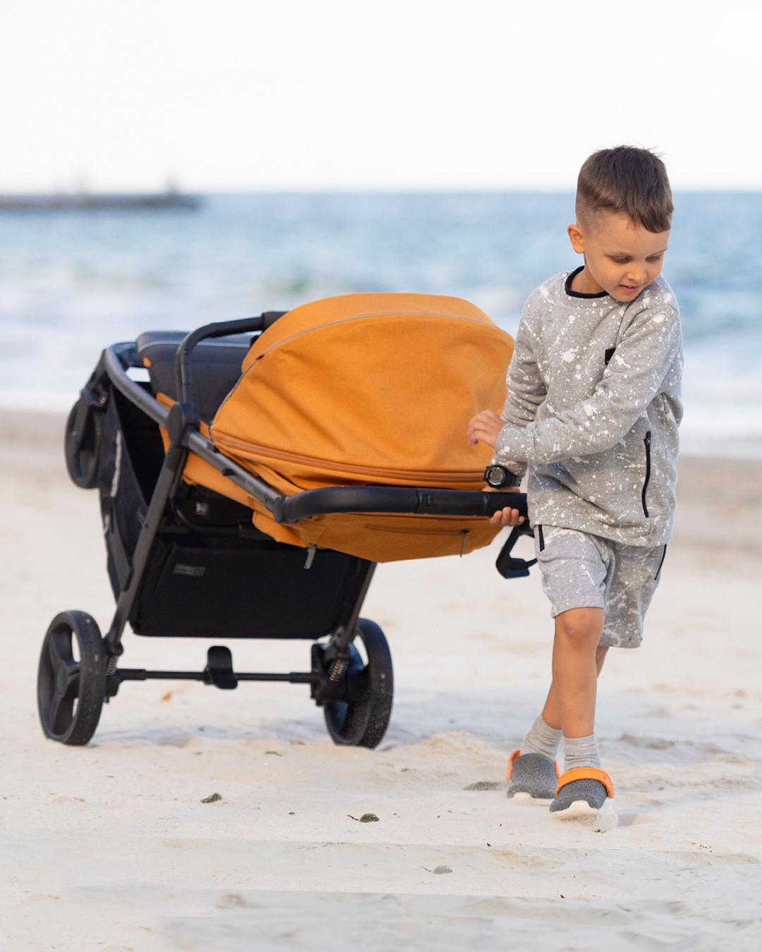 Carrello