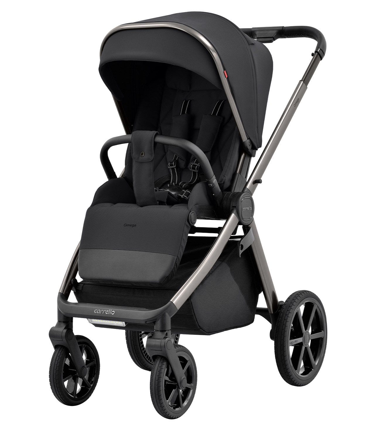 Universal stroller Omega 2 in 1